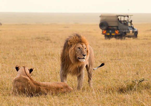 Kenya – Safari Extravaganza